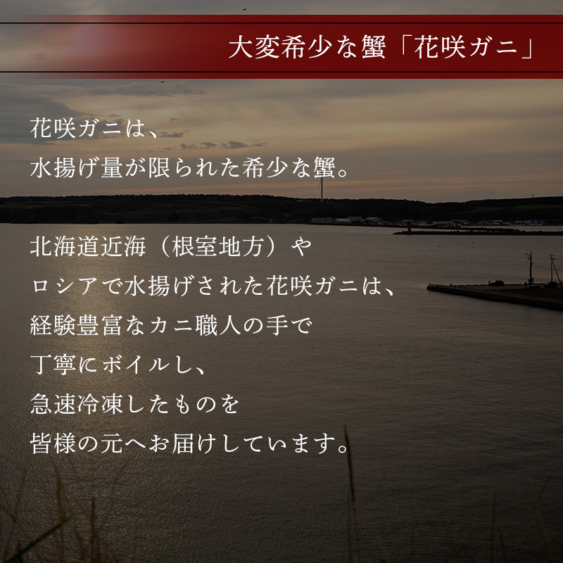 大変希少な蟹「花咲ガニ」