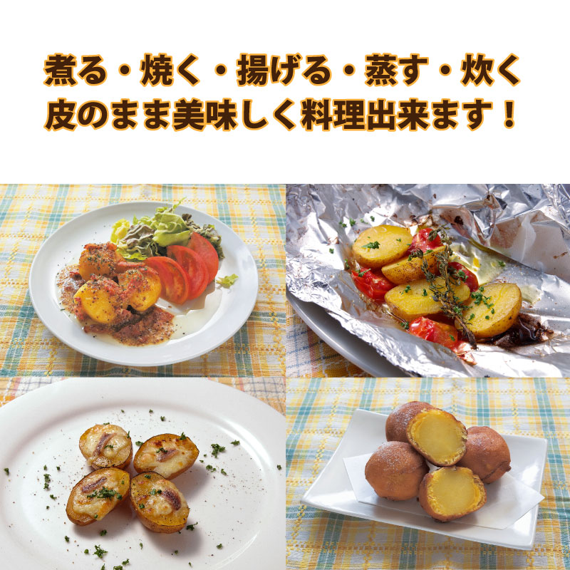 インカのめざめ 超小粒 SSサイズ 北海道産