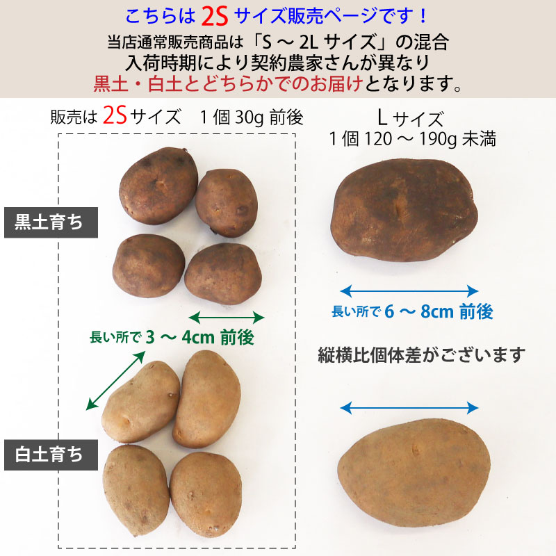 vintagehikerさん専用 インカのめざめM Sサイズ 20kg vintagehikerさん