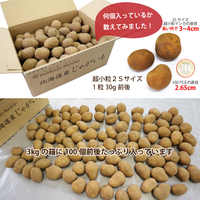 インカのめざめ 超小粒 SSサイズ 北海道産