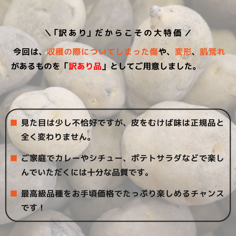 北海道直送じゃがいも インカのめざめ 訳あり・傷あり