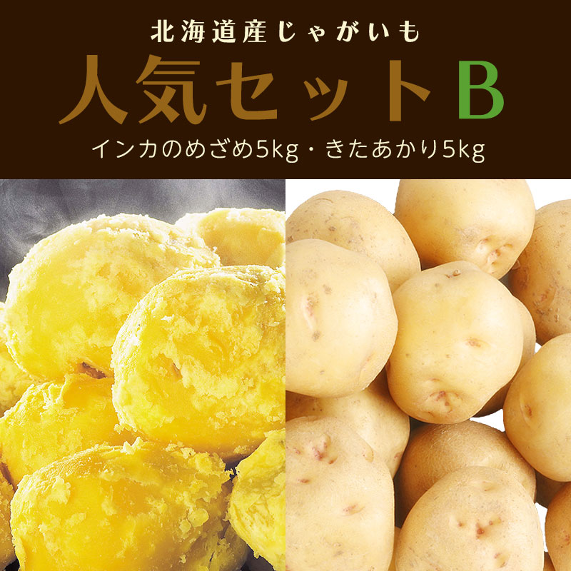 北海道　熟成じゃがいも　インカのめざめS20kg ジャガイモ　濃厚 送料無料 北海道産 じゃがいも インカのめざめ 4kg(新じゃが S