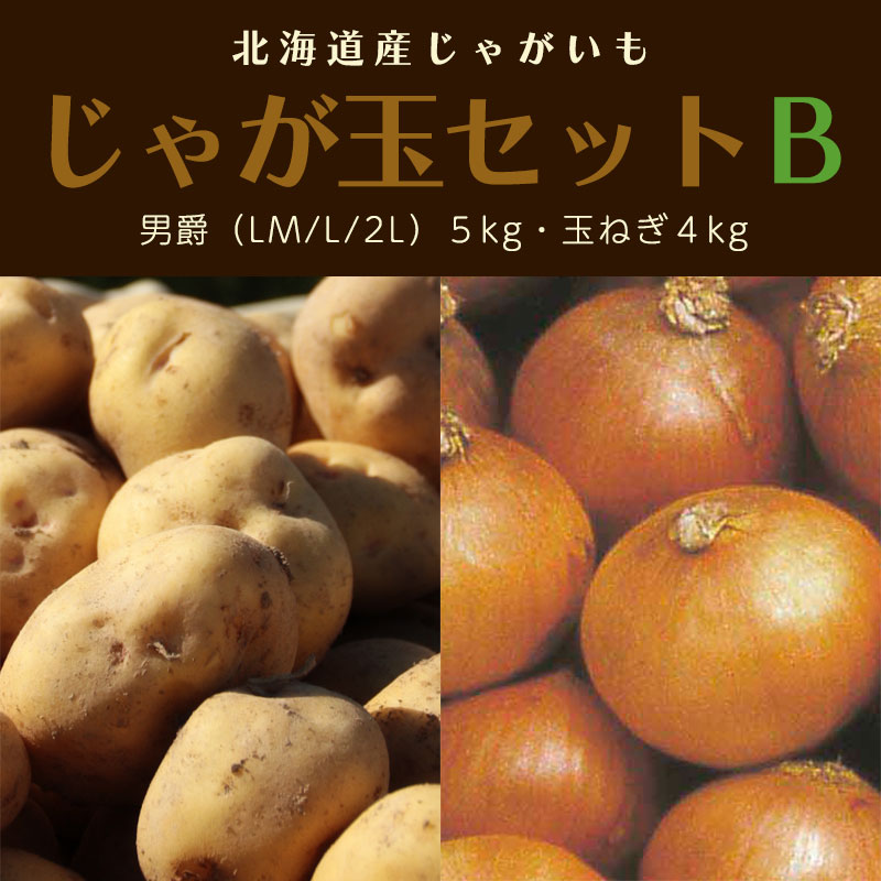 野菜セットB（キャベツ5玉・たまねぎ・じゃがいも・にんじん約5kg）4種セット 野菜セットB（キャベツ5玉・たまねぎ・じゃがいも・にんじん約