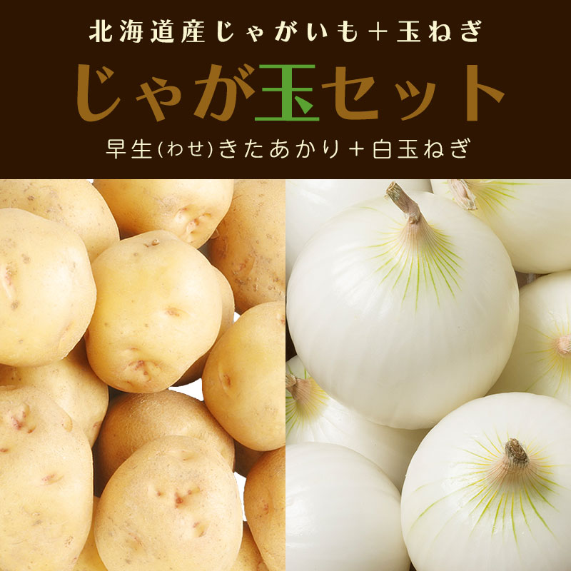 幻の　じゃがいも　02 玉ねぎ じゃがいも・たまねぎのじゃが玉セットA（きたあかり 5kg 玉ねぎ4kg）