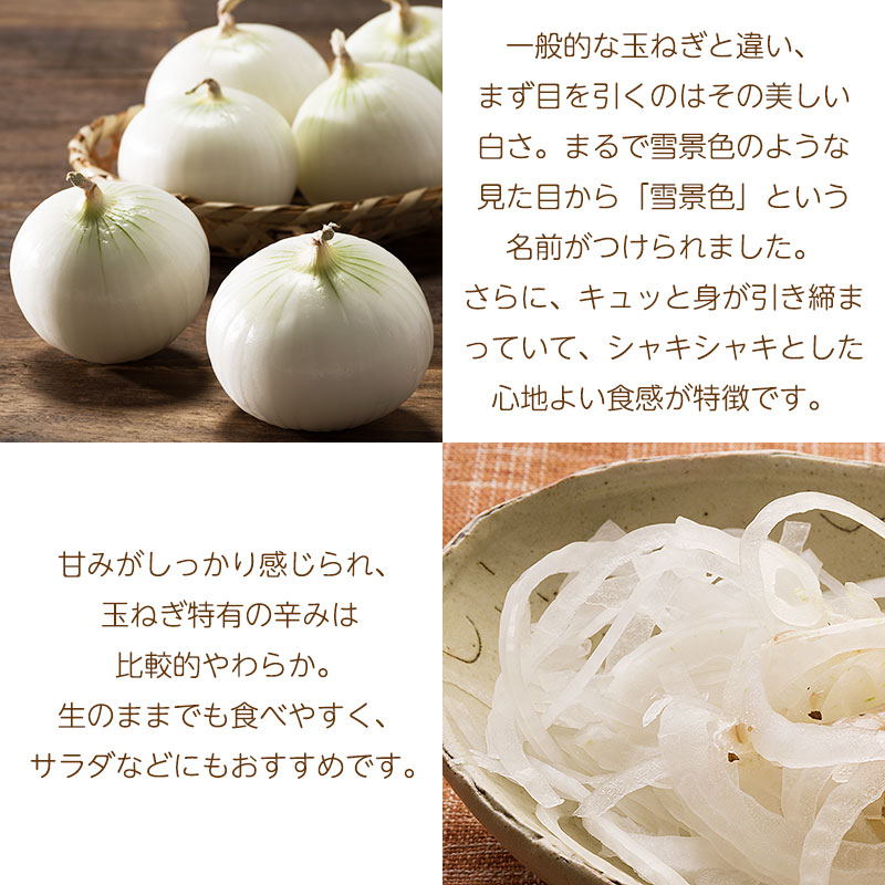 白玉ねぎ特徴01