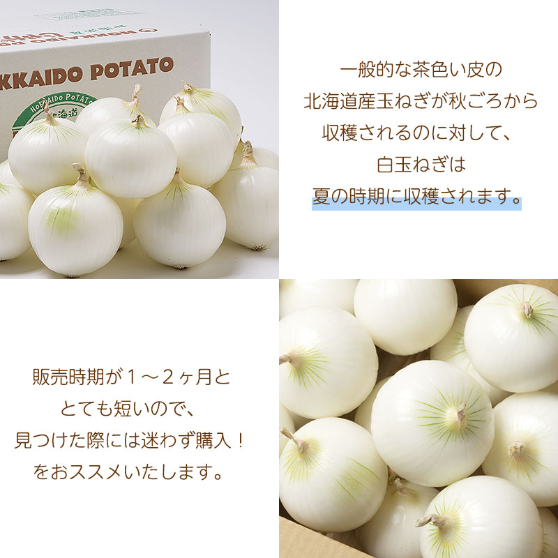 白玉ねぎ特徴03