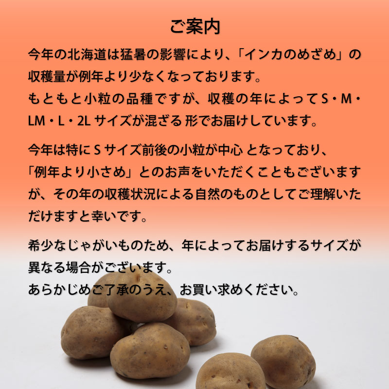 インカのめざめ じゃがいも ギフト