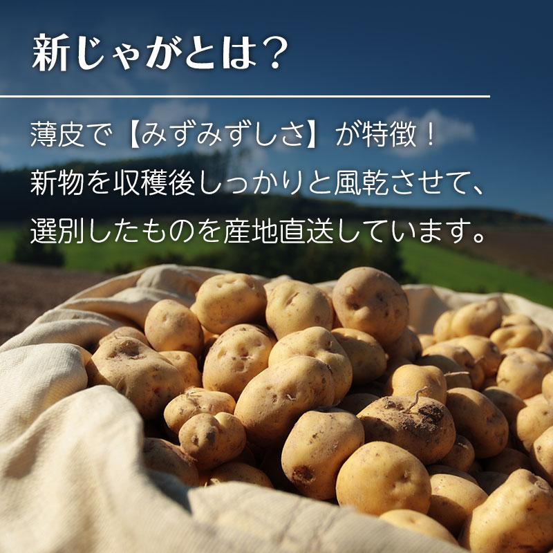 新じゃがいも 越冬じゃがいもセット