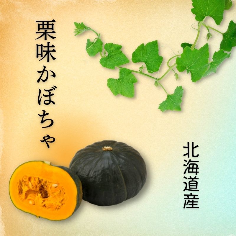 北海道ホクホク栗味かぼちゃ1玉（1.3kg以上）北海道かぼちゃで甘い！栗のような味のカボチャ 10月上旬発送