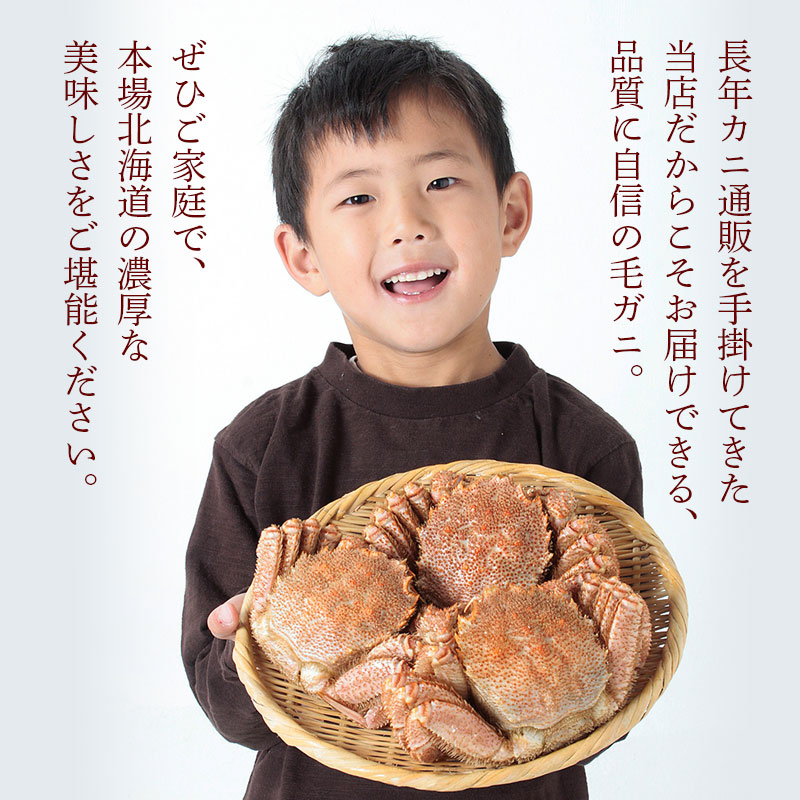 北海道産ゆで毛ガニ500g 毛ガニ 500g