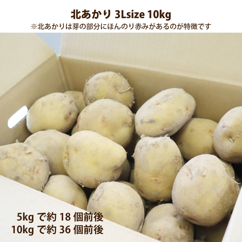 北海道直送「きたあかり」3Lサイズについて