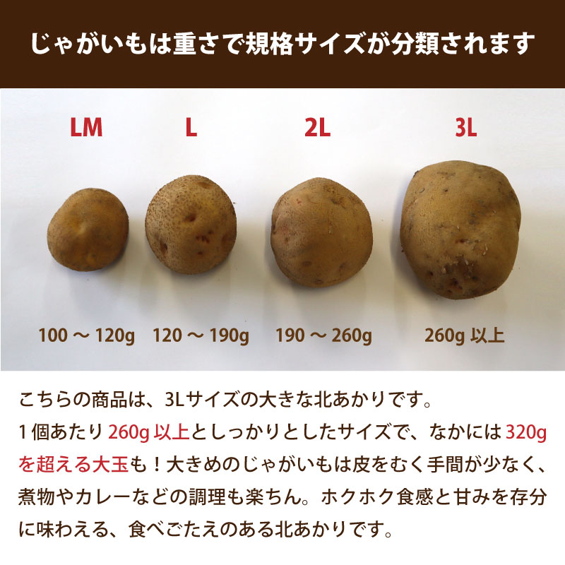 きたあかり じゃがいも 北海道 通販