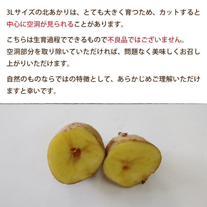 きたあかり じゃがいも 北海道 通販
