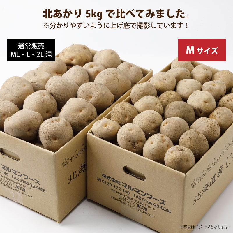 北海道直送「きたあかりMサイズ」