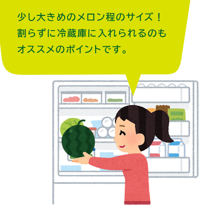 黒小玉スイカ