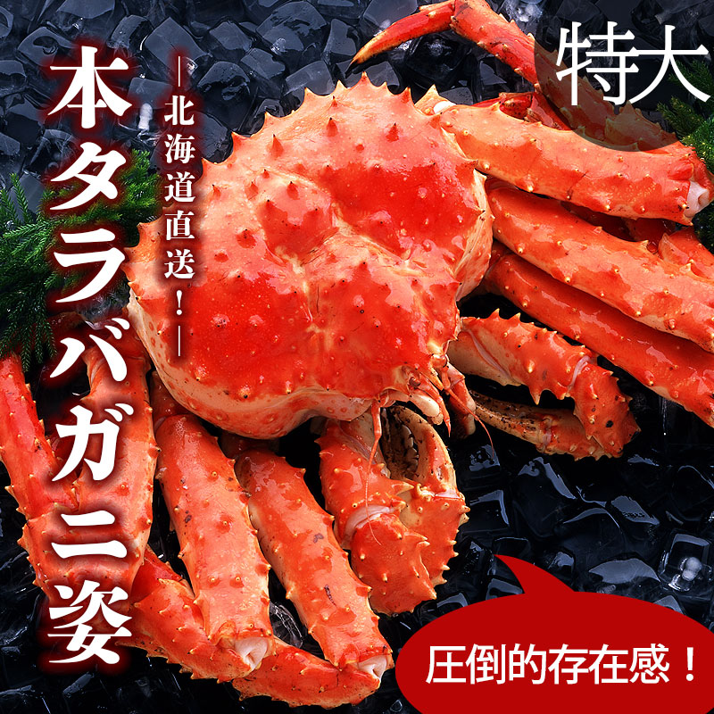 本特大タラバガニ姿 2.5kg×2尾