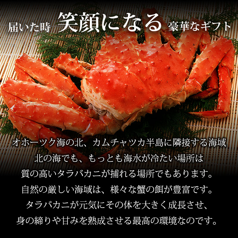 本特大タラバガニ姿 2.5kg×2尾