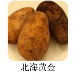 北海黄金