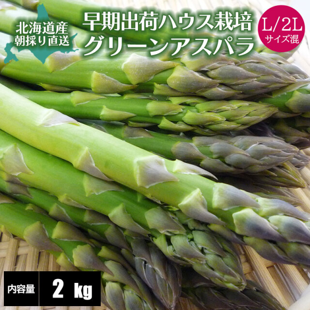 早期出荷アスパラガス