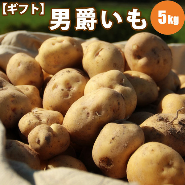 男爵