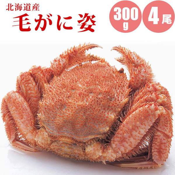 歳末限定プレゼント企画