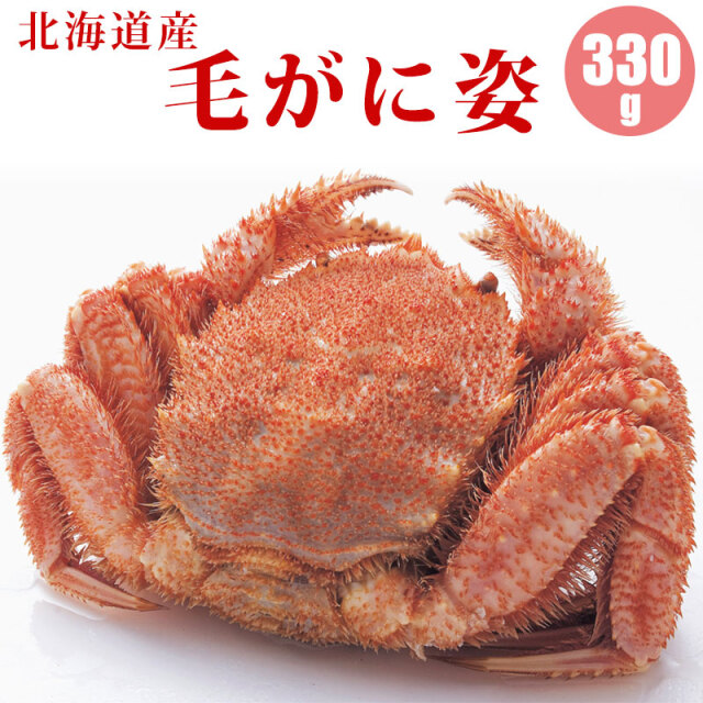 毛蟹姿