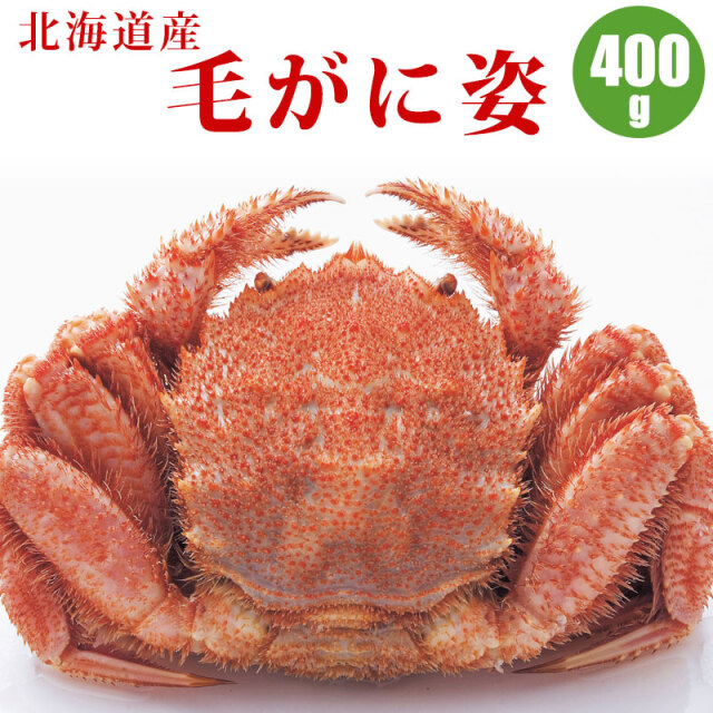 毛蟹姿