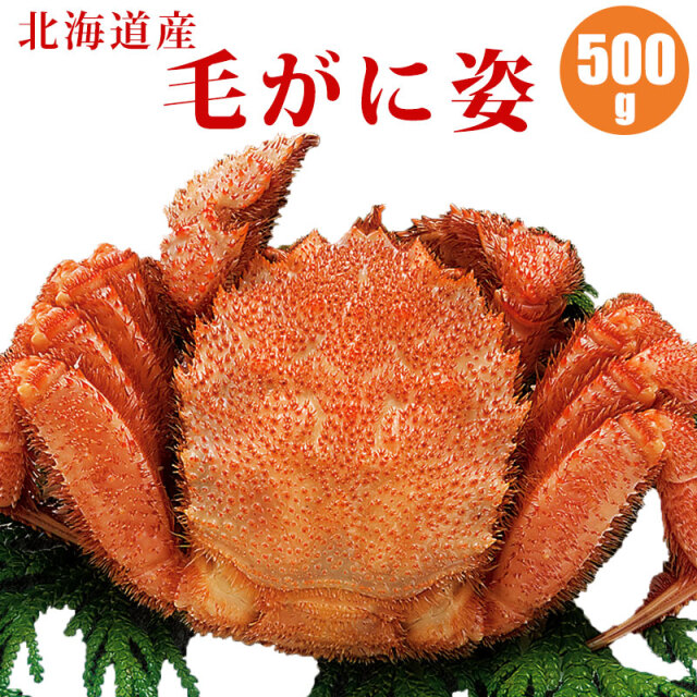 毛蟹姿