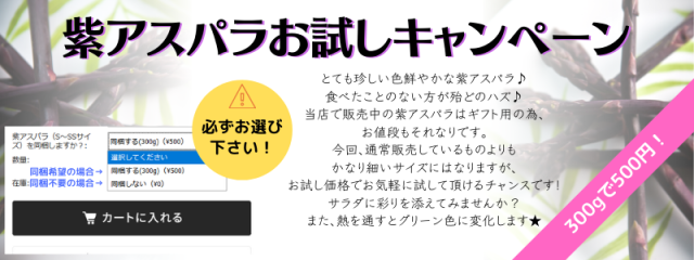 紫アスパラキャンペーン