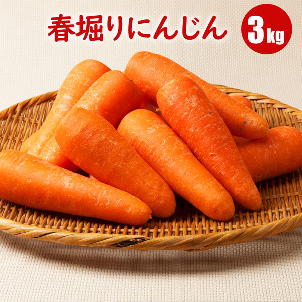 春堀りにんじん