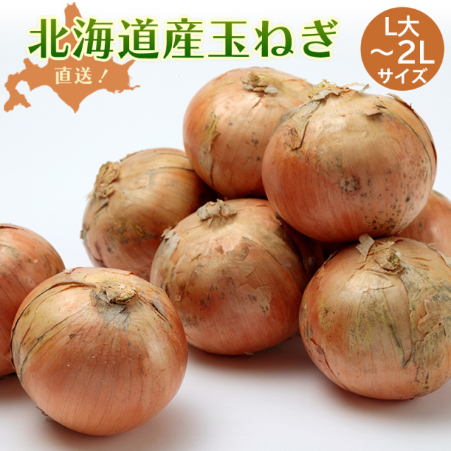 玉ねぎL大～２Lサイズ