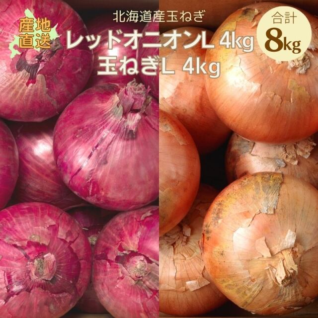 玉ねぎ