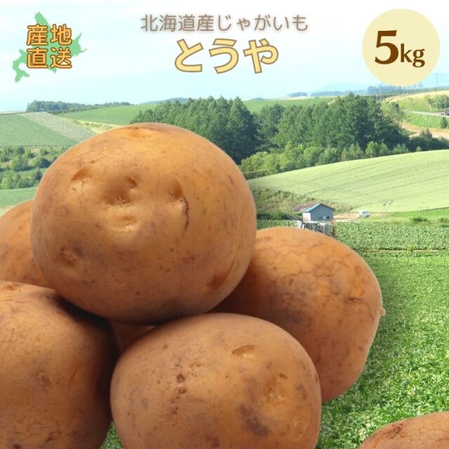 とうや