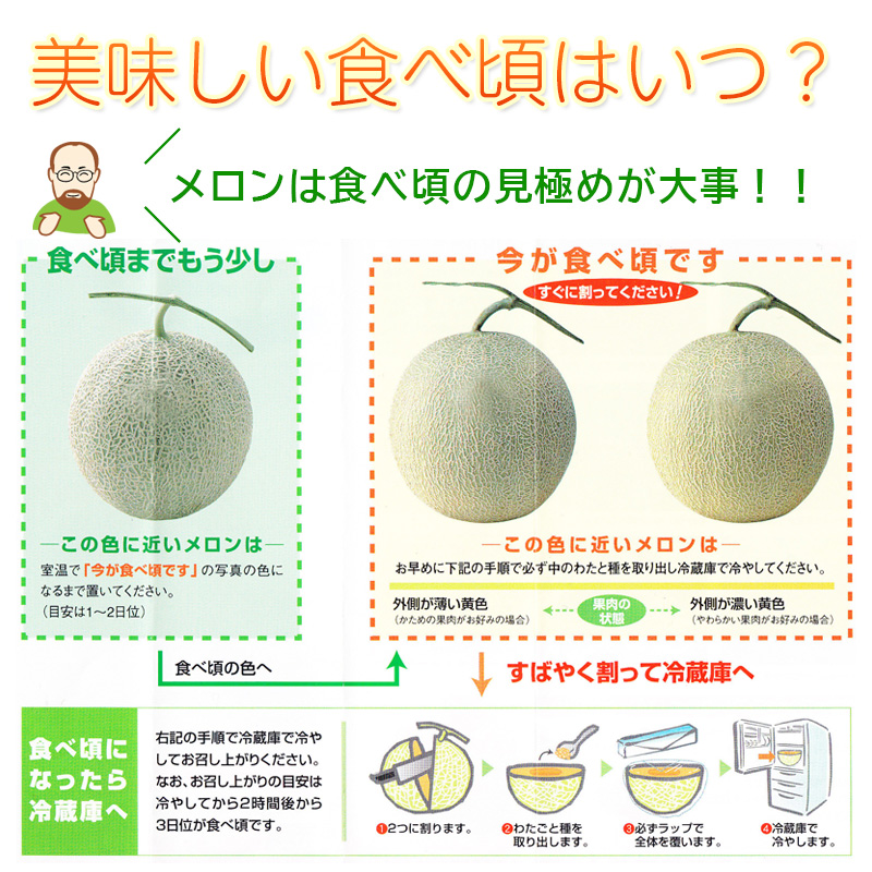 美味しい食べ頃はいつ？