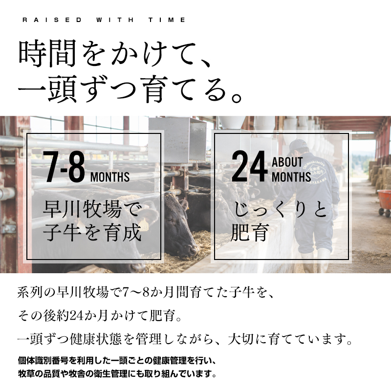 北海道で大切に育てられるもろみ黒牛