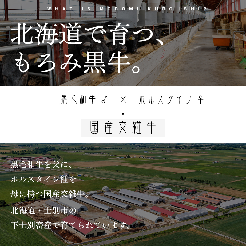 北海道で育つもろみ黒牛