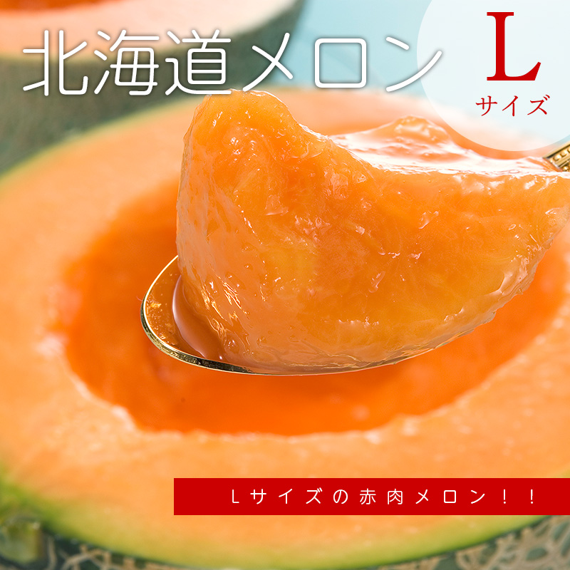 北海道メロン 1.3kg (Lサイズ) 1玉/2玉/3玉/4玉/6玉 赤肉メロン