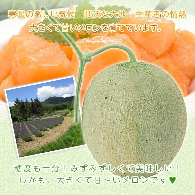 北海道メロン2kg (3Lサイズ) 1玉/2玉/4玉 北海道産 ギフトに赤肉