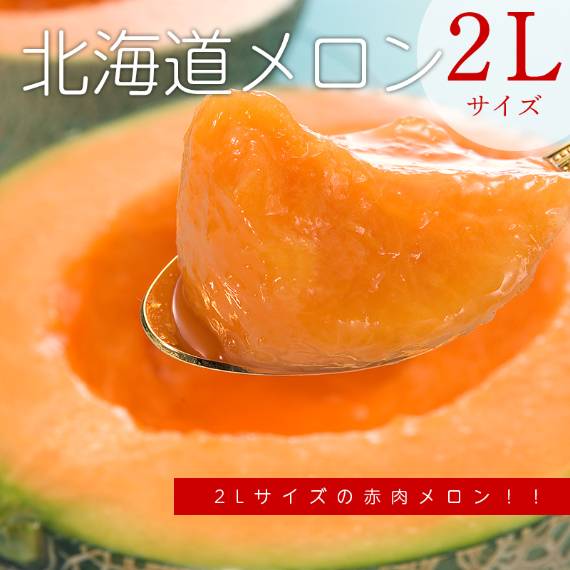 赤肉メロン　L 6玉 レッドメロン（6玉サイズ）（優）（LA） 【業務用食材の仕入れ