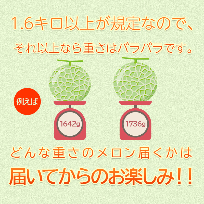 北海道メロン