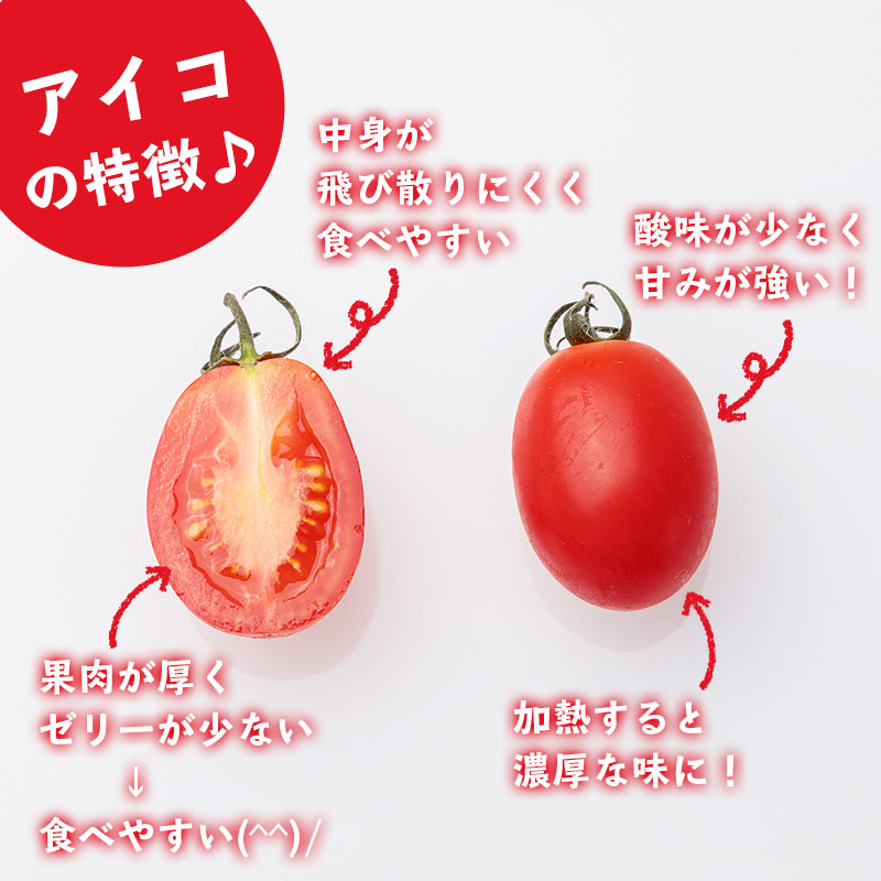 北海道産ミニトマト「アイコ」