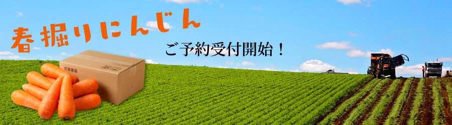 人参