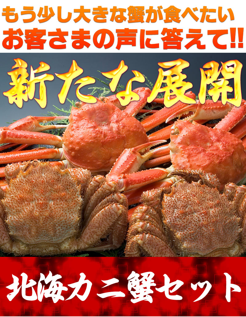 蟹セット プレミアムギフト 通販 送料無料