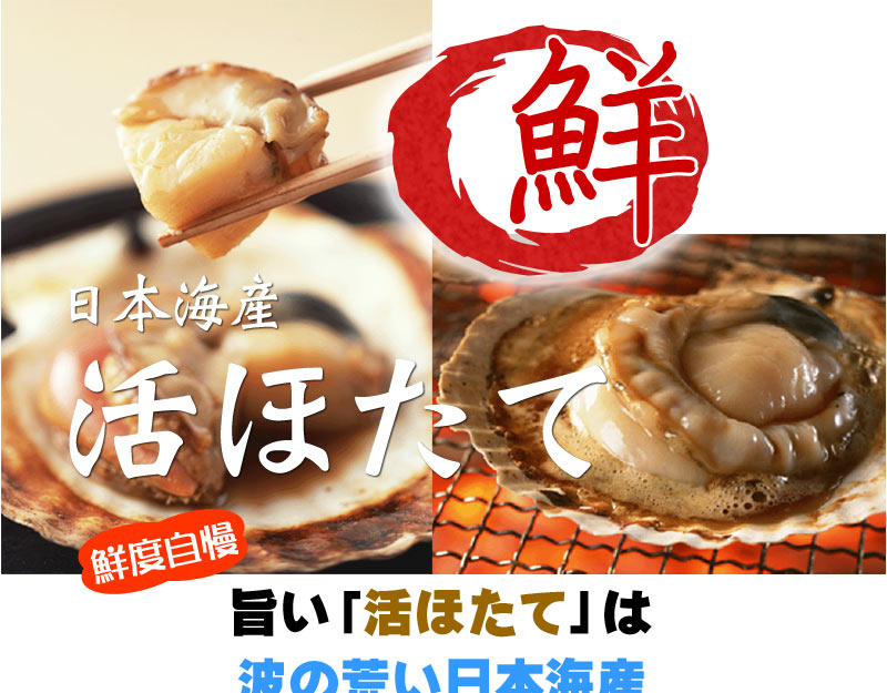 活ホタテ
