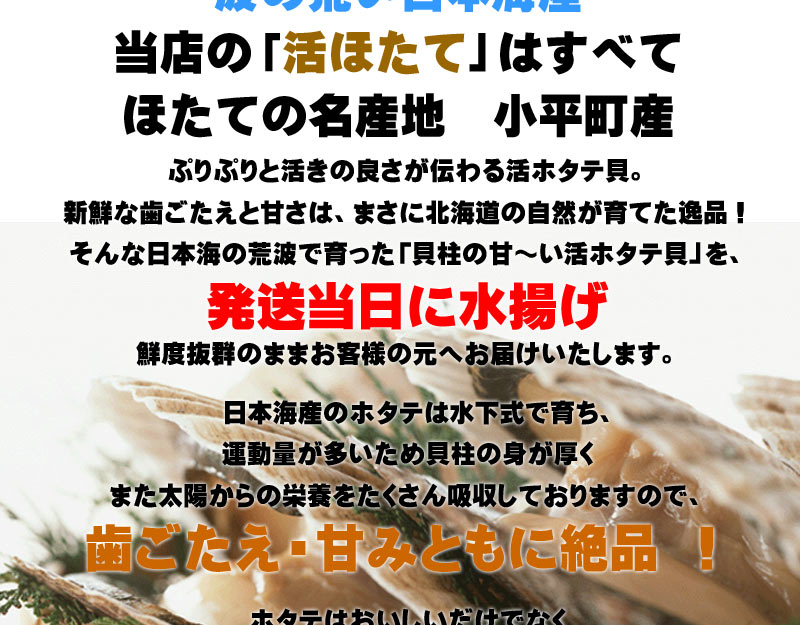 活ホタテ