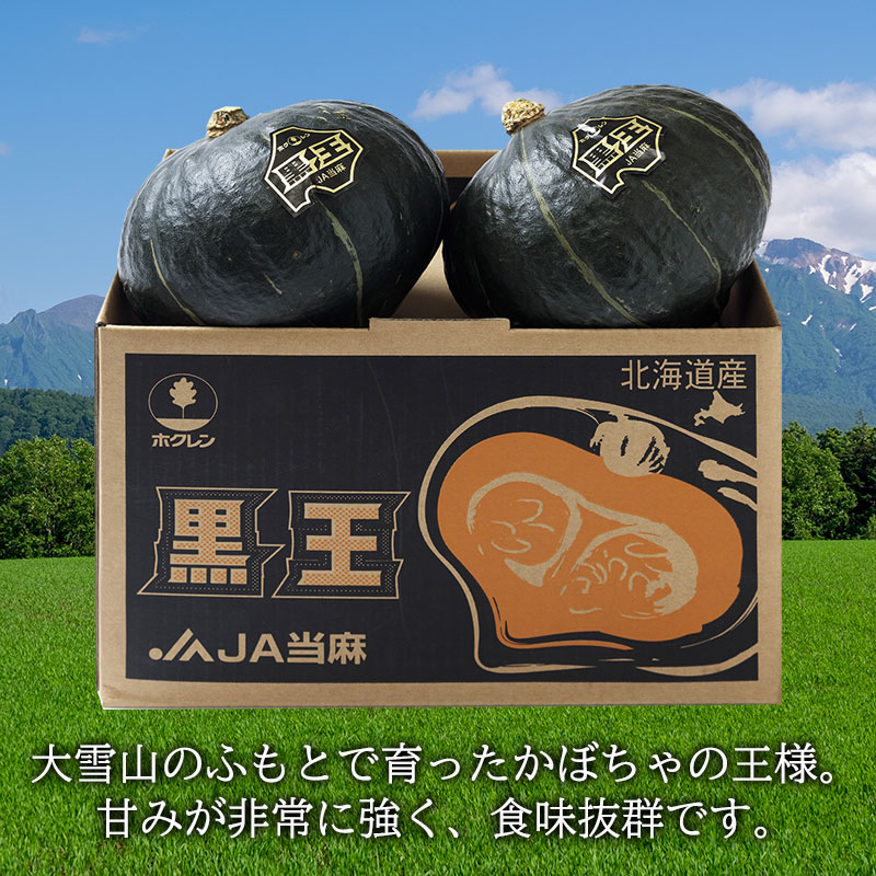北海道産 黒王かぼちゃ 2個(1個1.6〜2kg前後) 【北海道野菜】 ギフト
