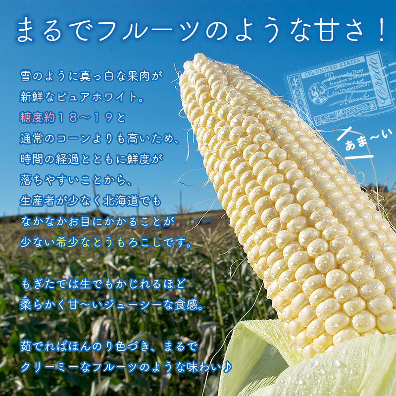 ピュアホワイト