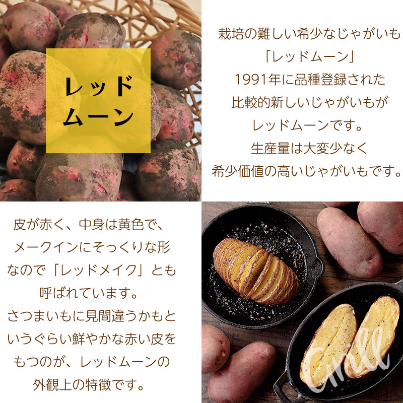 じゃがいもバラエティーセットB（きたあかり、レッドムーン