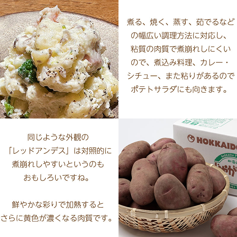 レッドムーン特徴02