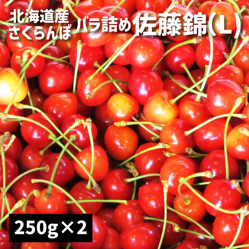 甘熟さくらんぼ「佐藤錦Ｌ250g×2個」北海道産サクランボ